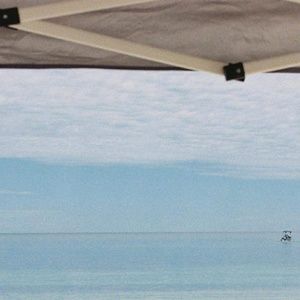 Meet your Posher, Vivienne